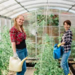 watering vegetable garden portrait two women gard 2023 11 27 05 28 27 utc